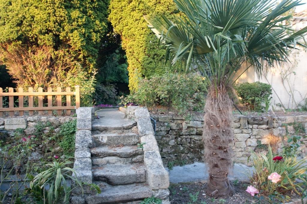 Le Petit Chateau - Tiffauges Proche Puy Dufou Exterior foto