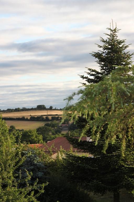 Le Petit Chateau - Tiffauges Proche Puy Dufou Exterior foto